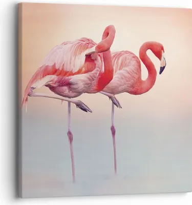Produktbild von Bild auf Leinwand - Leinwandbild - Einteilig - Flamingos Exotik Vögel - 30x30cm - Wand Bild - Wanddeko - Wandbilder - Leinwanddruck - Bilder - Wanddekoration - Leinwand bilder - AC30x30-5044