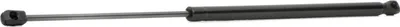Produktbild von RIDEX 219G0319 Gasfeder Heckklappendämpfer für VW POLO (9N) 585,5mm