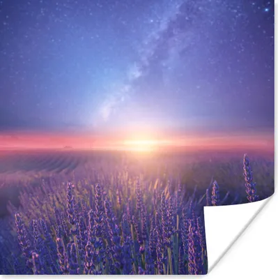 Produktbild von MuchoWow® Poster Lavendel - Milchstraße - Blumenwiese 100x100 cm - Babyzimmer