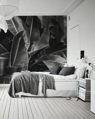 Produktbild von Coloray Fototapete 208x146 cm Latextapete Magicstick - Tropic Blätter Bush Spa Wachstum Busch Dschungel