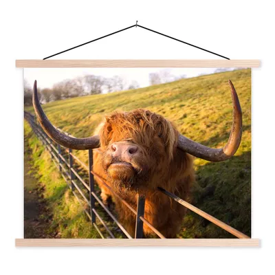 Produktbild von MuchoWow® Textilposter Scottish Highlander - Zaun - Gras 120x90 cm mit holzfarbenen Rahmen - Magnetisch