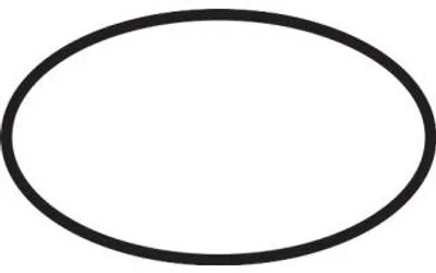 Immagine prodotto di Hansgrohe O-Ring 39x3,5mm