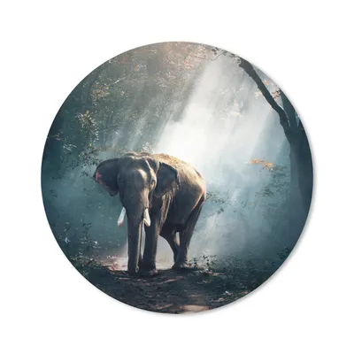 Produktbild von MuchoWow® Mauspad Mousepad Elefant - Tiere - Licht - Wald - Natur - Wildtiere 30x30 cm - Mousepads - Maus Mat - Pad - Mausunterlage - Tischunterlage - Schreibtischmatten