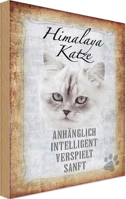 Produktbild von vianmo Holzschild 30x20 cm Himalaya Katze sanft Tier Haustier