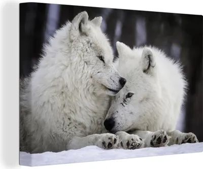Produktbild von OneMillionCanvasses® - Leinwandbilder - 140x90 cm, Wölfe - Schnee - Familie, Wandbilder Kunstdruck Wanddekoration