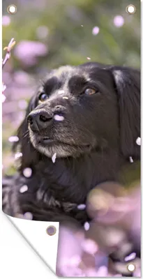 Produktbild von MuchoWow® 30x60 cm Outdoor-Poster Gartendeko Sichtschutz Garten Poster für den Garten  Hund - Blumen - Haustier