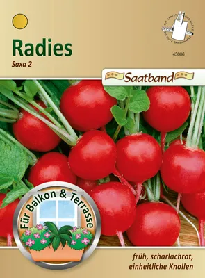 Produktbild von Radies Saxa 2 (Saatband) | Radieschensamen von N.L. Chrestensen