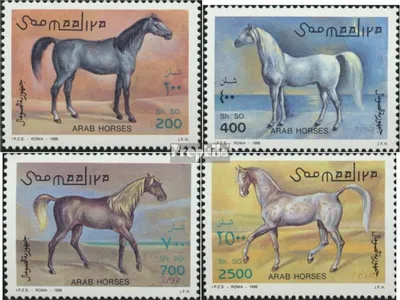 Produktbild von Briefmarken Somalia 1996 Mi 588-591 (kompl.Ausg.) postfrisch Araberpferde