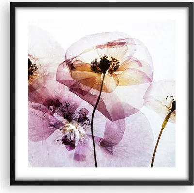 Produktbild von Gerahmtes Poster - Schwarzer Rahmen - blume sommer natur - 50x50 cm - Wand Bild - Wanddeko - Wandbilder - Kunstposter - Wandposter - Bilderrahmen - Bilder - Kunstdruck - Wandbild - P2BAC50x50-3821