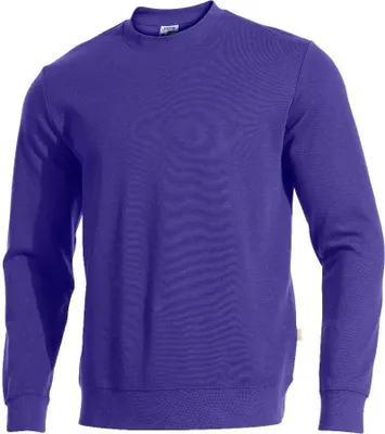Immagine prodotto di Felpa Joma Universo Viola M Uomo Viola M