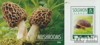 Produktbild von Briefmarken Salomoninseln 2014 Mi Block 341 (kompl. Ausg.) postfrisch Pilze