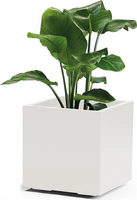 Produktbild von euro3plast 315-703 Pflanzkübel Greener Kebe 40cm, weiß