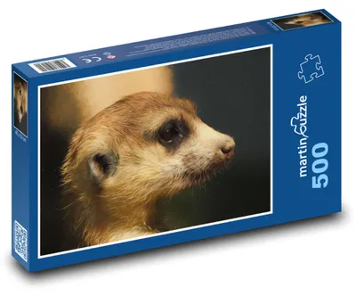 Produktbild von Puzzle 500 Porträt eines Erdmännchenkopfes - martinpuzzle