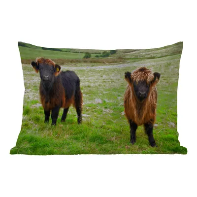 Obrázek produktu pro MuchoWow® Vnější polštář - Skotský horal - Tráva - Krávy -50x30 cm- Odolnost proti povětrnostním vlivům - polštář do obývacího pokoje