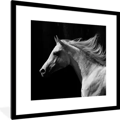 Produktbild von MuchoWow® MuchoWow® Gerahmtes Poster Pferd - Weiß - Schwarz 40x40 cm - Poster mit zchwarzem Bilderrahmen - Poster - Plakat im Rahmen