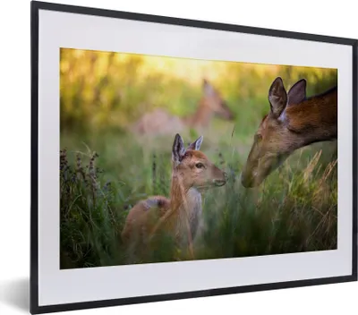 Produktbild von MuchoWow® MuchoWow® Gerahmtes Poster Hirsche - Gras - Wald 40x30 cm - Poster mit zchwarzem Bilderrahmen - Bilderrahmen - Poster im Rahmen