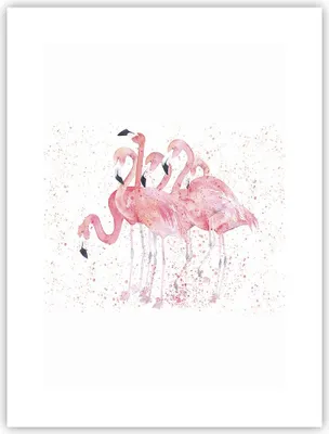 Produktbild von Poster - Poster ohne Rahmen - Flamingo Vogel Wasser - 30x40 cm - Wand Bild - Wanddeko - Wandbilder - Kunstposter - Wandposter - Bilder - Kunstdruck - Wanddekoration - Wandbild - P2XPA30x40-3899