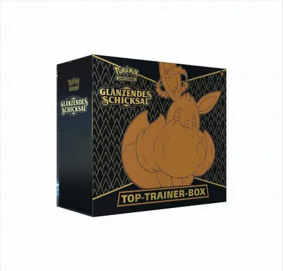 A Pokemon Top-Trainer-Box with an Eevee illustration.