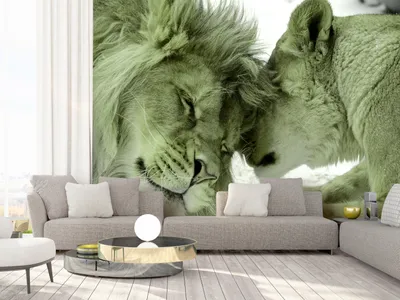 Zdjęcie produktu dla Fototapeta flizelinowa lew 400x280 cm fototapeta XXL zwierzęta g-B-0034-a-d