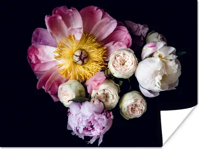 Produktbild von MuchoWow® Poster Blumen - Rosa - Pastell 160x120 cm - Foto Plakat