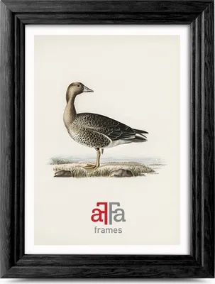 Obrázok produktu pre aFFa rámy, retro, drevený obrazový rám, akrylové sklo, rám na fotografie, rám na plagáty, 15x21 cm, čierna