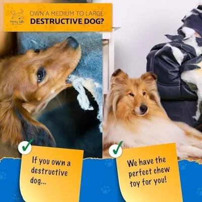Immagine prodotto di Giocattolo masticabile resistente per cani