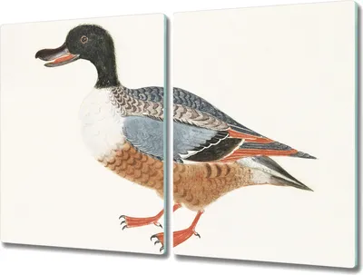 Produktbild von Coloray Hackbrett Herdabdeckplatte 2x40x52 cm Küchenbrett Kochplattenabdeckung Schneidebrett - Tierentenfedern