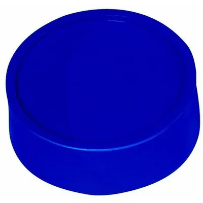 Obrázek produktu pro MAUL Magnet kulatý 10 kusů 2 kg plast ferit nerozbitný lakovaný Ø 3,4 x 1,4 cm modrý