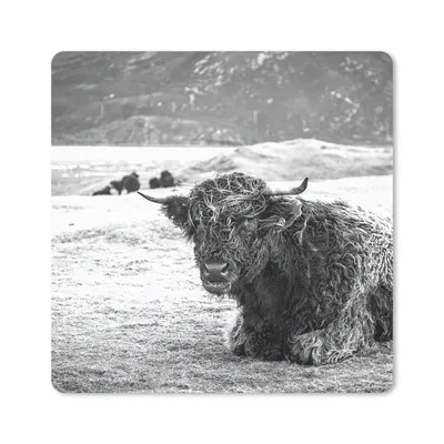 Produktbild von MuchoWow® Mauspad Mousepad Schottischer Highlander - Berg - Tiere 20x20 cm - Mousepads - Maus Mat - Pad - Mausunterlage - Desk Mat - Bureauartikeln