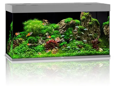 Productafbeelding van Juwel Rio 350 LED | 350L | 121 x 51 x 66CM Grijs