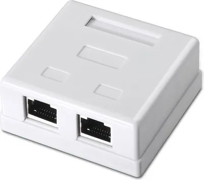 Image de Aisens Surface Mount Rose A139-0304/ Cat.6/ 2 Sockets