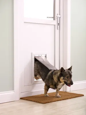 Image de PetSafe Clapet pour animaux domestiques 620 Aluminium moins de 18 kg 5014