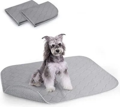 Zdjęcie produktu dla Mata higieniczna dla psów Famanu - 75 x 89 cm / zestaw 2 sztuk