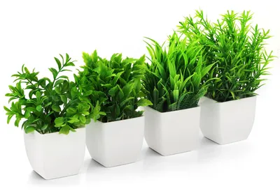 Image de 4 plantes artificielles, plantes décoratives, petites plantes artificielles en pot blanc pour la chambre, le bureau, le salon, le balcon, la salle de bains