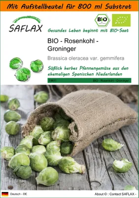 Produktbild von SAFLAX - Garden in the Bag - BIO - Rosenkohl - Groninger - 30 Samen - Mit Anzuchtsubstrat im praktischen, selbst aufstellenden Beutel - Brassica oleracea