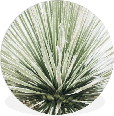 Produktbild von MuchoWow® Rundes Wandbild - Runde Bilder Grün - Blätter - Natur Ø 90 cm Kreis Wanddekoration Kunststoff - Wandkreis - Wandschmuck - Wand-Kreis - Wohnzimmer - Bild - Runde - Wanddeko - Dibond - Kunstdrucke