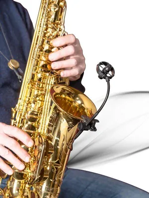 Obrázok produktu pre Prodipe PROSB21 Kondenzátorový nástrojový mikrofón