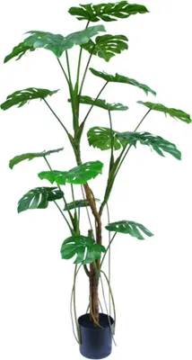 Obrázok produktu pre Monstera umelá rastlina 180 cm