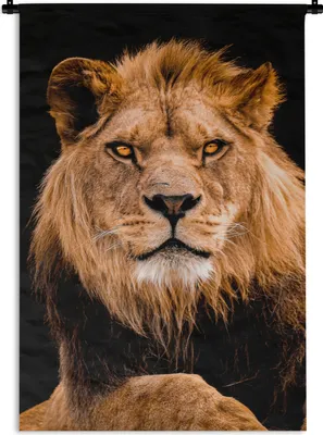 Produktbild von MuchoWow® Wandteppich Wandbehang Löwen - Schwarz - Porträt 120x180 cm Tapisserie Dekoration Wandtuch - Schlafzimmer - Dekorationen für das Haus