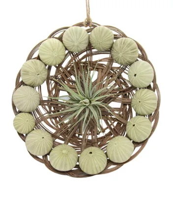 Produktbild von Flechtkorb mit Seeigel Arrangement und Tilladsie 30 cm