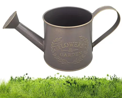 Productafbeelding van Metalen Gieter met Handvat voor Planten