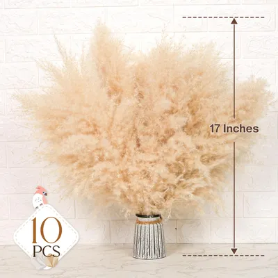 Obrázok produktu pre Sušené trávy Pampas, 10 kusov, 43 cm, prírodná dekorácia do domácnosti