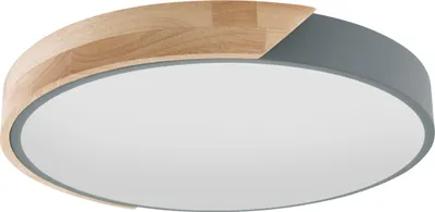 Produktbild von Näve Leuchten LED Deckenleuchte BORNEO mit LED Platine LED Deckenleuchte BORNEO mit LED Platine Deckenleuchten - LED Deckenleuchte "BORNEO" Ø: 31cm, Deckenlampe im Modern Style, aus Metall und Kunststoff in grau, 5,5 cm hoch, Ø 31 cm, inkl. LED