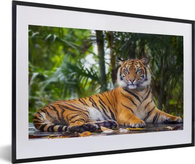 Produktbild von MuchoWow® Gerahmtes Poster Tiger - Tiere - Wald - Dschungel 60x40 cm - Poster mit Schwarzem Bilderrahmen Wandposter Rahmen Foto Bilder - Schlafzimmer - Plakat in Rahmen - Drucken