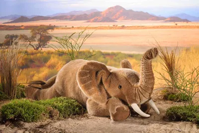Produktbild von Kösen Elefant liegend 55 cm Stofftier