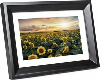 A digital photo frame displaying a field of sunflowers at sunset.