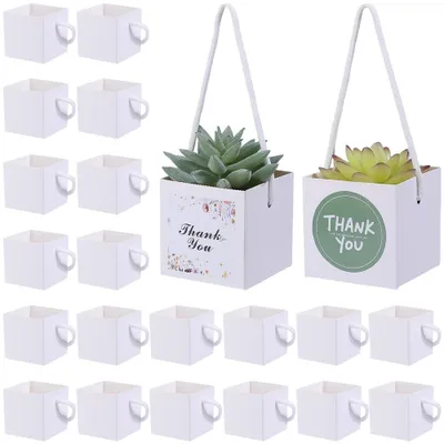40 Sukkulenten-Tüten 6,3 cm Kraftpapier mit Aufklebern