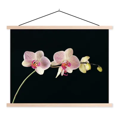 Produktbild von MuchoWow® Textilposter Orchidee - Blumen - Schwarz - Rosa - Knöpfe 40x30 cm mit holzfarbenen Rahmen - Bilder