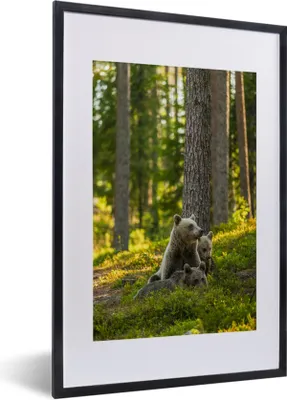 Produktbild von MuchoWow® MuchoWow® Gerahmtes Poster Bär - Braun - Wald 40x60 cm - Poster mit zchwarzem Bilderrahmen - Poster in Rahmen