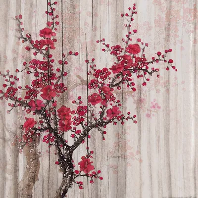 Produktbild von Frühling Kunstdruck Bild - Rote Quittenblüten (70 x 70 cm)